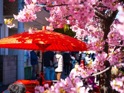 ホテルからの眺望 松戸グランドホテルの写真