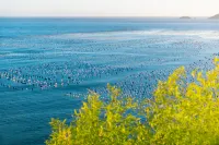 Shanyu Scenic Apartment (Shengshan Gouqi Scenic Area) - Romantic