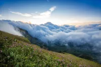 Huali Xirui Hotel (Axilixi Jiucaiping Scenic Area) - สัตว์เลี้ยง