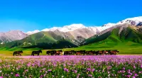 Jinsui Yuyuan Homestay