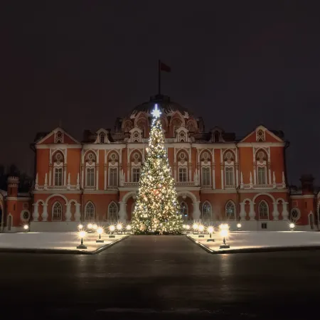 Петровский Путевой Дворец