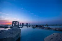 Fish Island · Seaside Pet Theme Hotel - Hot Springs