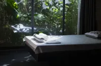 楓溪悅境湯泉民宿 - spa