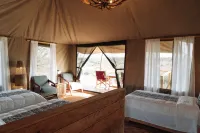 Kiriche Luxury Camp - Homestays