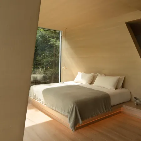Laiye·12 Beast Designer Private Tang Homestay