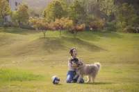 The Cloud Valley - Gym