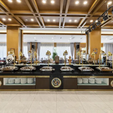 xizang hotel  （Norbulingka shop)