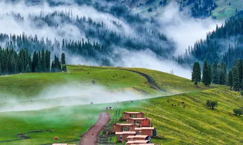 Kongliu KurdeNing bairui Camp