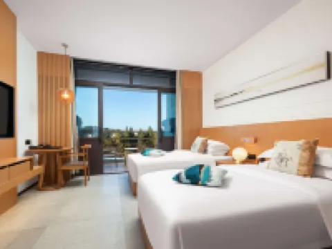 九宮山パノラマ国際ホテル 通山のホテル