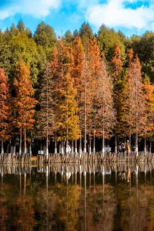 Qinghua Business Travel Hotel (Kunming South High-speed Railway Station University Town) Отели рядом с достопримечательностью «Kunming University of Science and Technology Chenggong Campus Library»