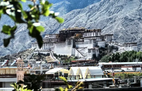 拉薩慈渡｜布宮全景·供氧民宿（布達拉宮八廓街店）