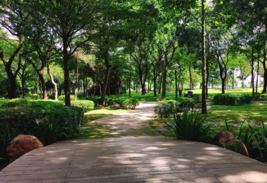 어반 젠 사이공 객실 내부