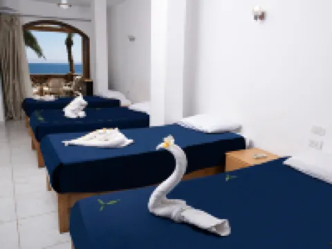 Penguin Village Dahab Hotels in Dahab