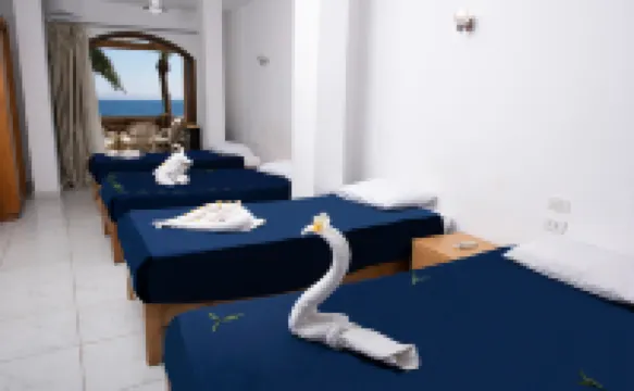 Penguin Village Dahab