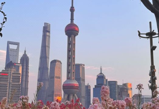 Pinke Service Apartment