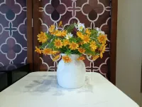 Fairyland Homestay (Shihezi University Municipal Government)