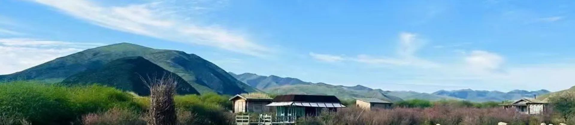 Boutique-homestay