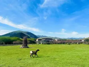 Homestay nghỉ mát Phổ Biến Tại Cam Túc