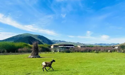 Sangqing Campsite