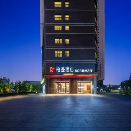 Borrman Hotel (Baise Government Hengji Plaza)