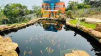 King Bavi Resort Hotels in Yen Mao