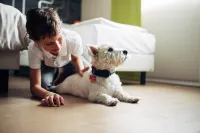 Harry's Home Dornbirn Hotel & Apartments Hotels in 