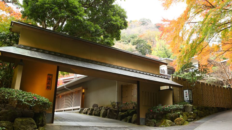 Oku Yugawara Tsubaki