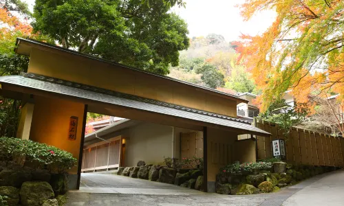 Oku Yugawara Tsubaki