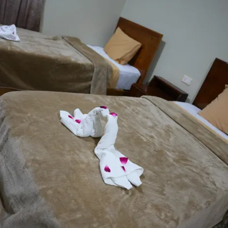 Nuba Nest