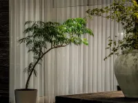 Lunaris Hotel Hotels near Siziwan