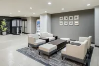HOTEL MYSTAYS Nagoya Sakae　*Renewed in September 2026 – All Guest Rooms & Breakfast - Wifi