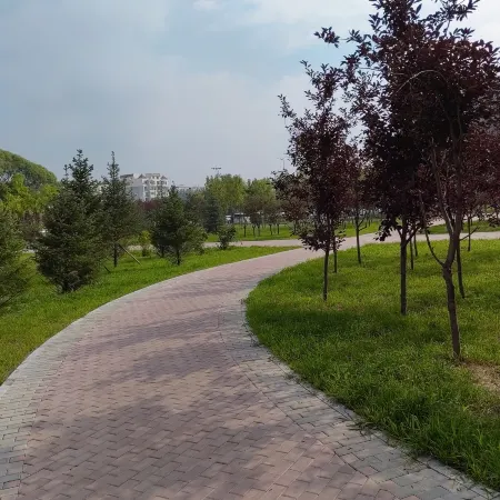 Yuduo Serviced Apartment (Shuncheng Wanda Plaza) Отели в г. Фушунь