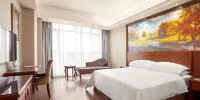 Vienna Hotel (Taizhou Luqiao Passenger Center) - Habitación Doble De Lujo
