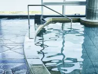 KAMENOI HOTEL FUKUI - Hot Springs