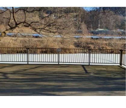 솔밭캠핑장 풍경