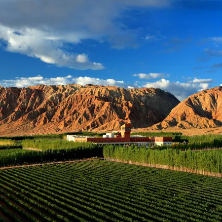 Xinjiang Tiansai Vineyards Co., Ltd