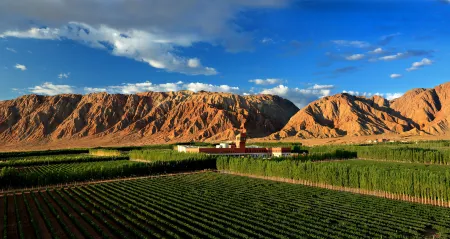 Xinjiang Tiansai Vineyards Co., Ltd