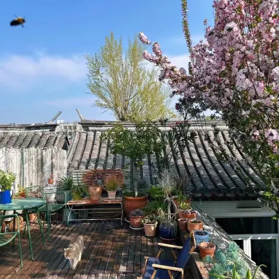 Peking Garden Siheyuan Boutique Hotel-ForbiddenCity&Tiananmen&BeihaiPark&Terrace&home kitchen&Pets โรงแรมใกล้ซีตัน
