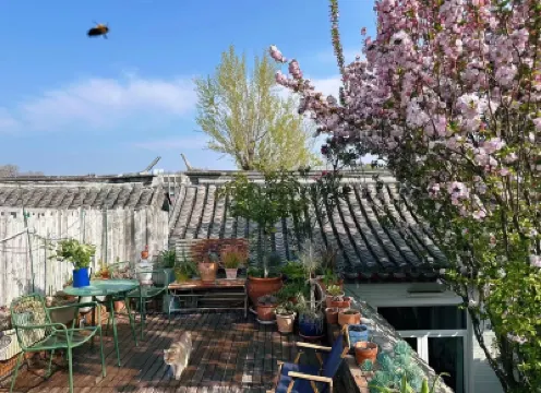 Peking Garden Siheyuan Boutique Hotel-ForbiddenCity&Tiananmen&BeihaiPark&Terrace&home kitchen&Pets Hotels in 