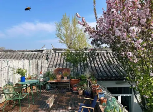 Peking Garden Siheyuan Boutique Hotel-ForbiddenCity&Tiananmen&BeihaiPark&Terrace&home kitchen&Pets