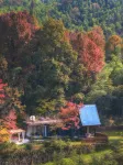 Nook Nook Hotels in 
