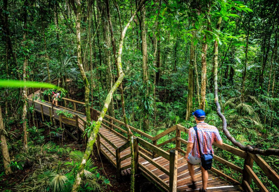 Cairns Central YHA Hostel Over view