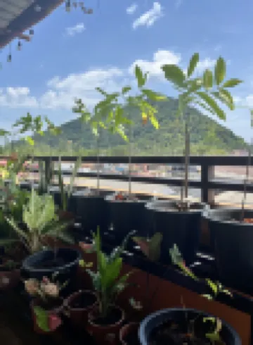 โรงแรมเดอะเพียร์ ลันตา อีโคเฟรนด์ลี่