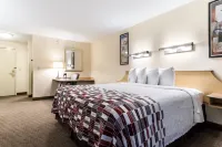 Red Roof Inn Cleveland Airport - Middleburg Heights Hotels in Middleburg Heights