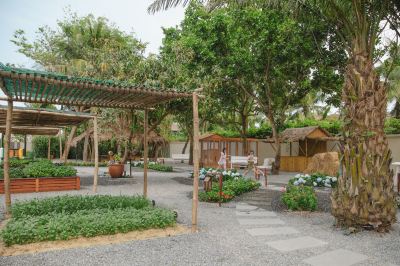 庭 ハイアット リージェンシー ダナン リゾート＆スパの写真