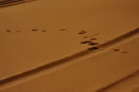 Zhongwei Shariwa Desert B&B - Romantic