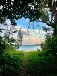 CORAL ISLAND Hotels in Nago