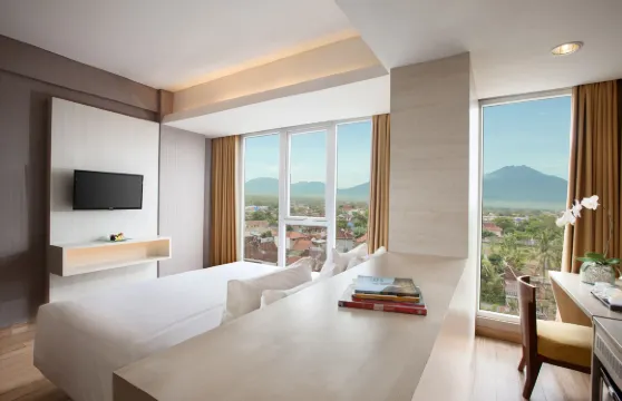 善提卡酒店-外南夢