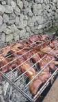 Jiuhuangshan Weijianshan Homestay - servizio colazione