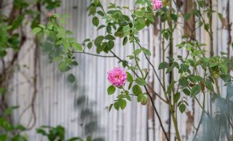 Hangzhou Shanzhiwu Homestay (Xihu Jiuxi)